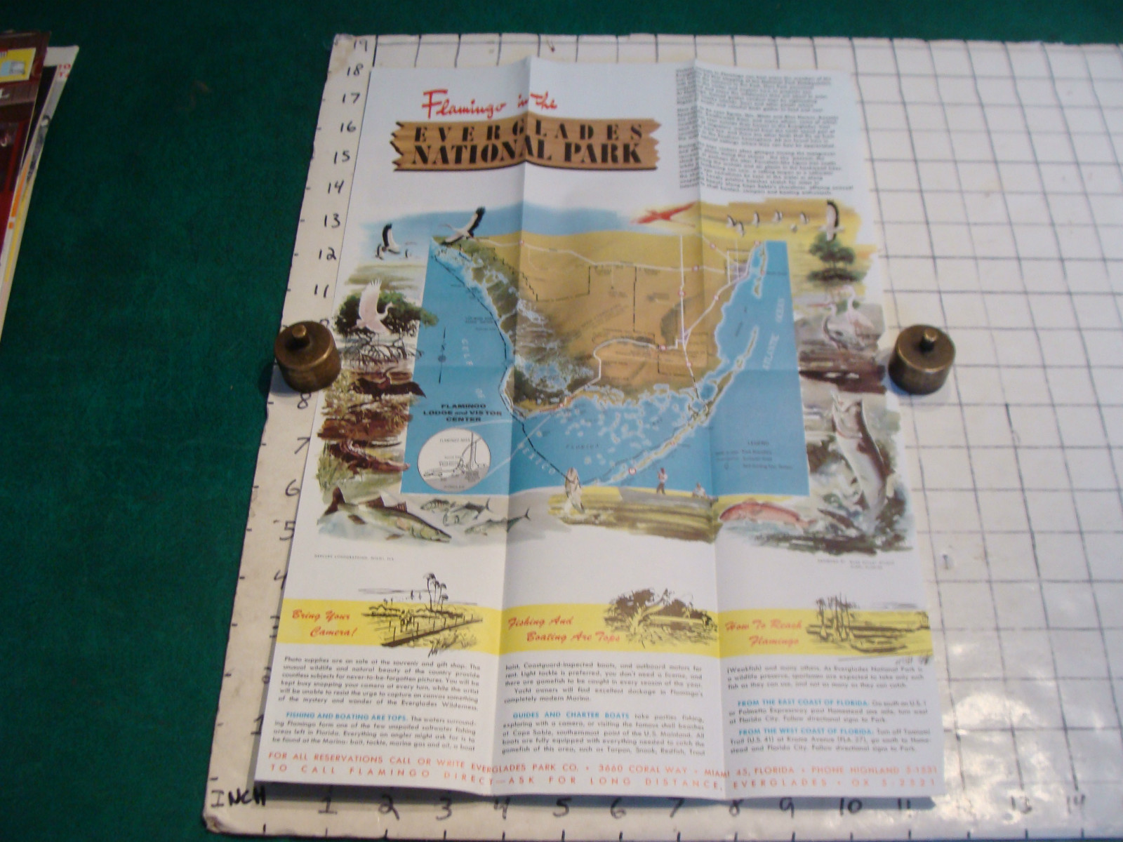 vintage HIGH GRADE travel brochure: 1962 EVERGLADES NATIONAL PARK flamingo