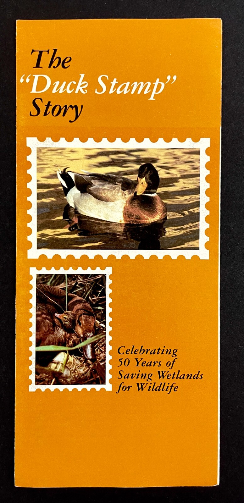 1980s Duck Stamp Story Wetlands Wildlife Rescue Vintage Interior Dept Brochure