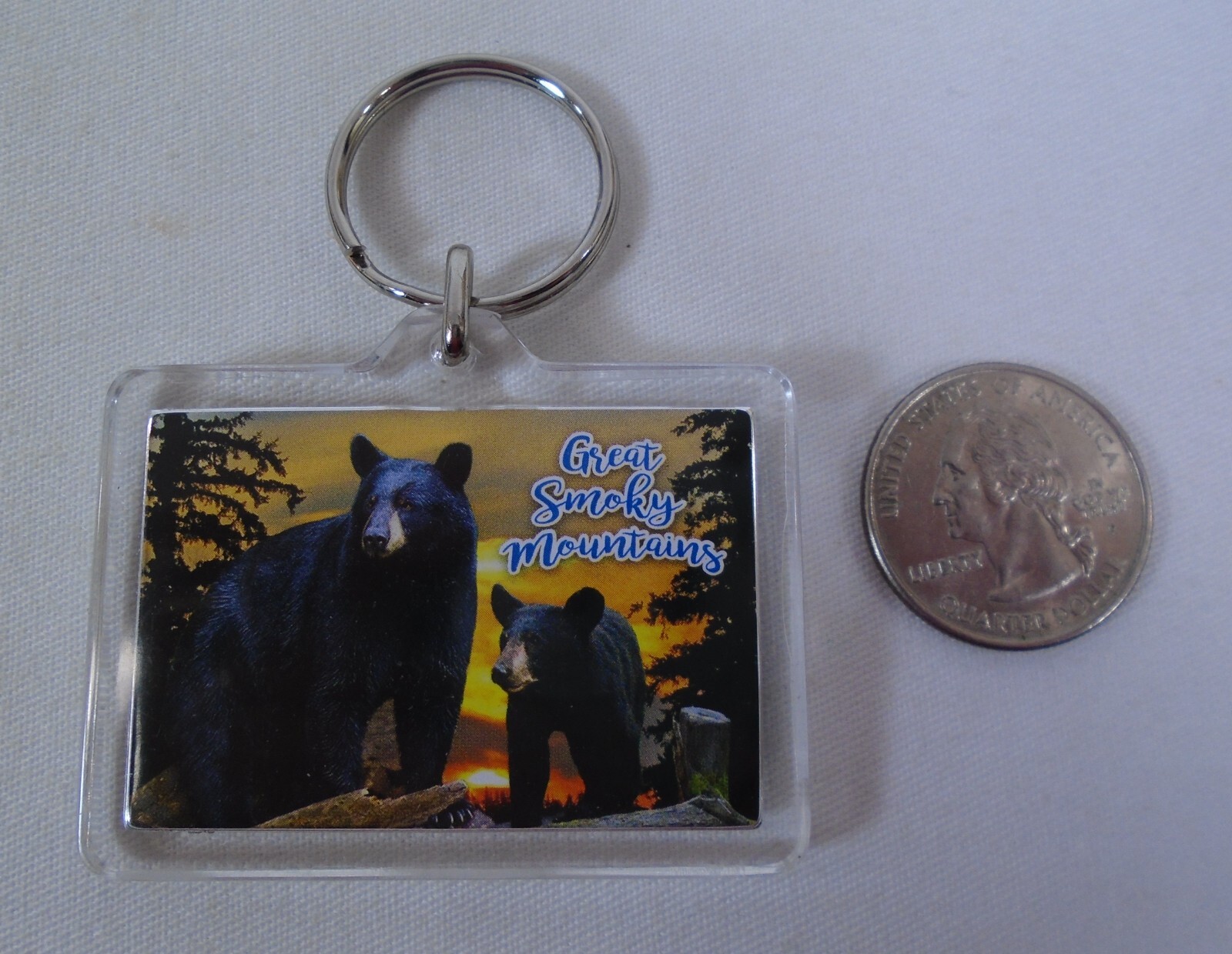 Great Smoky Mountains National Park Black Bear & Cub Keychain Souvenir Ring Fob