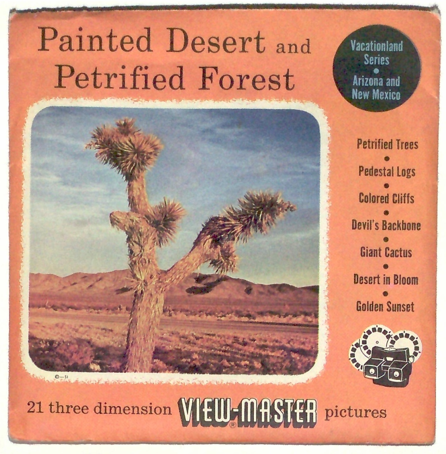Vintage SAWYERS View Master PAINTED DESERT & PETRIFIED FOREST Arizona Travel set