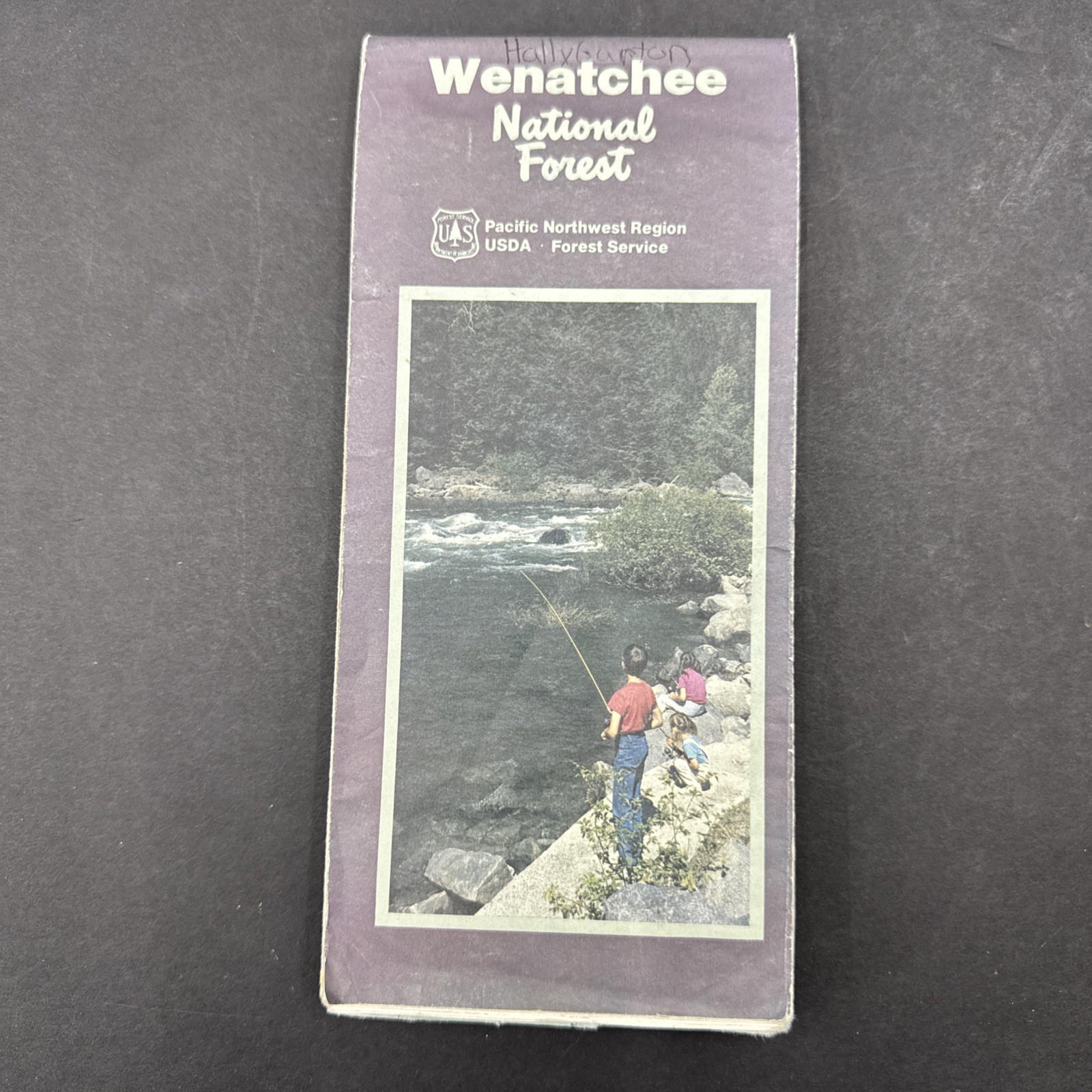 National Forest Map – Wenatchee Washington 1989 Recreation Guide