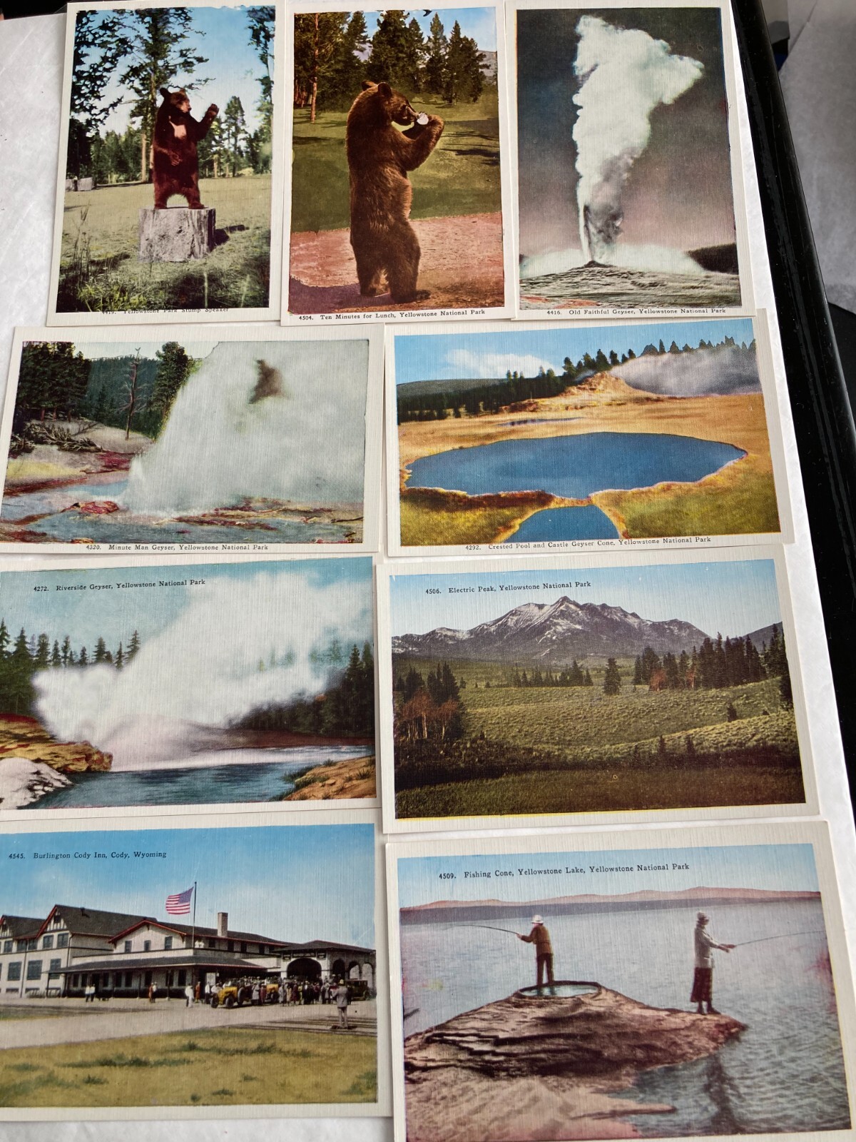 YELLOWSTONE NATIONAL PARK Box of Photo-Tint Postcards (43 of 50) Cody Wyoming