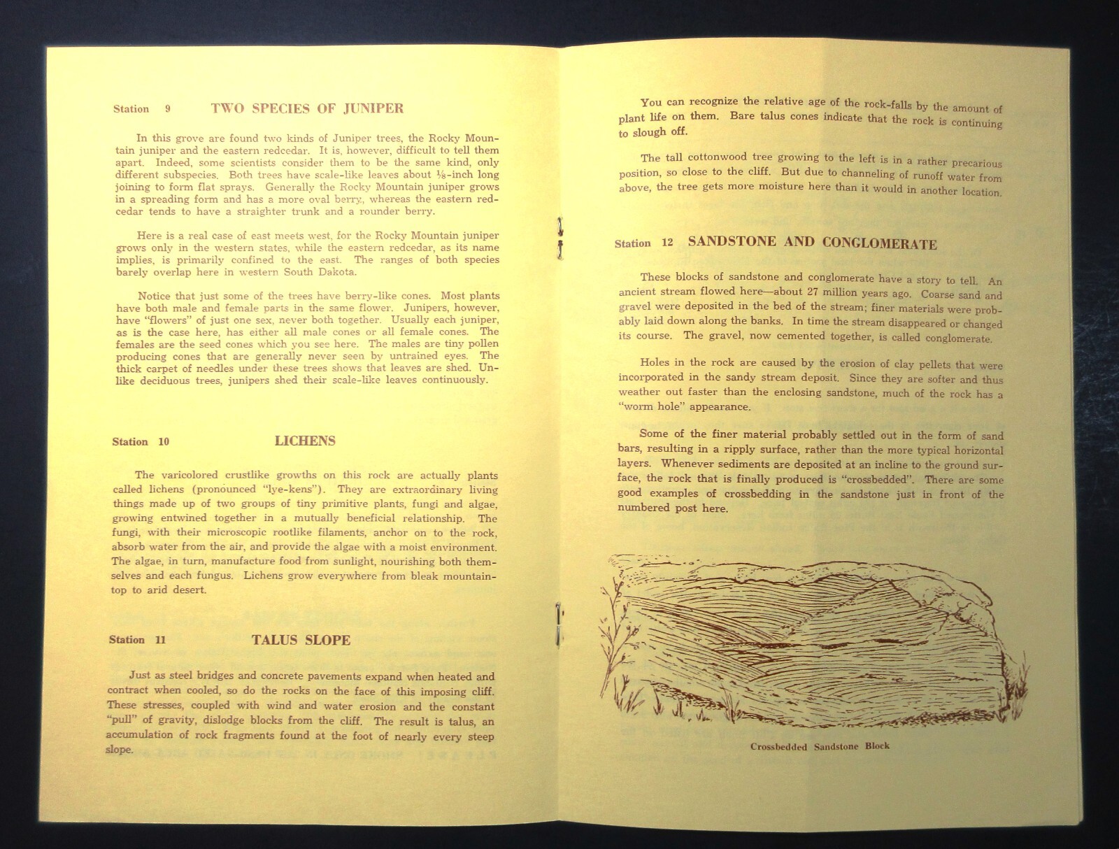 1967 Badlands National Monument Cliff Shelf Nature Trail with Map