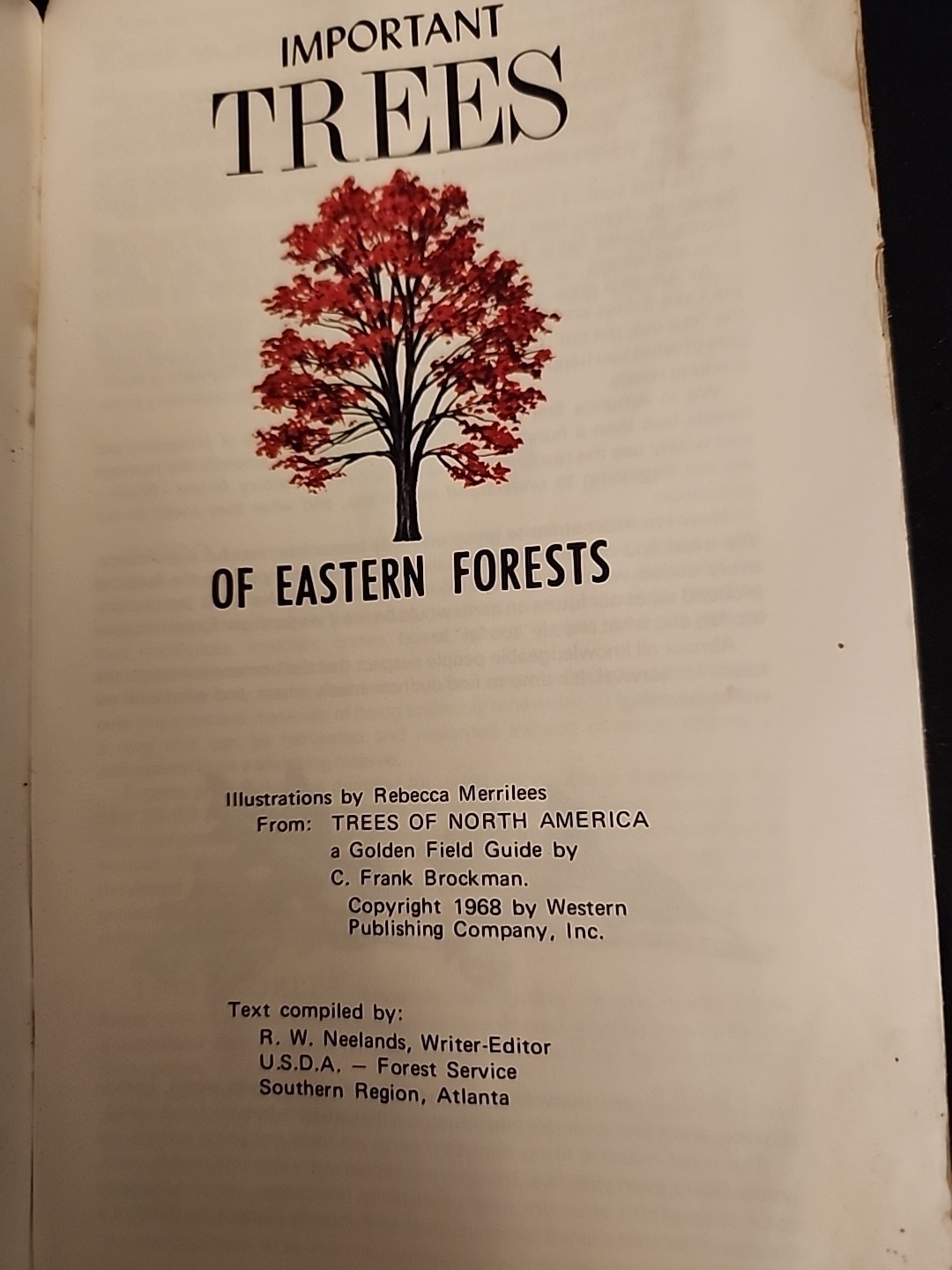 1968 Important Eastern Forest Trees Vintage Identification Book Agriculture Dept