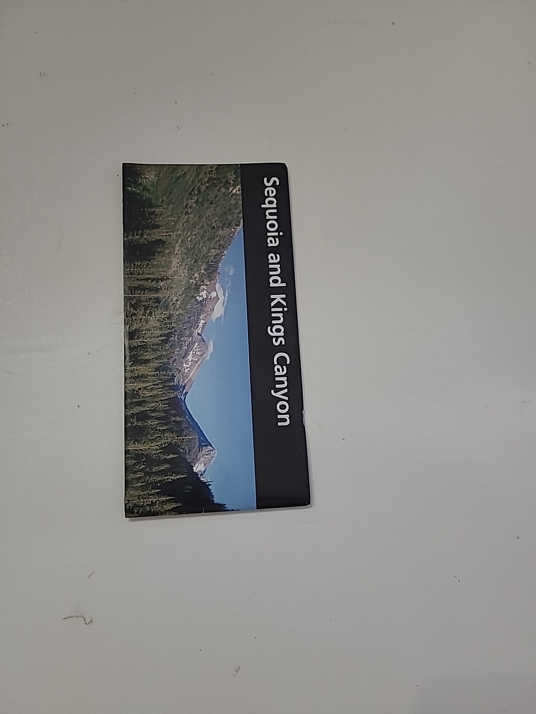Black Bear On Slider Lapel Pin Sequoia Kings Canyon California Park Souvenir