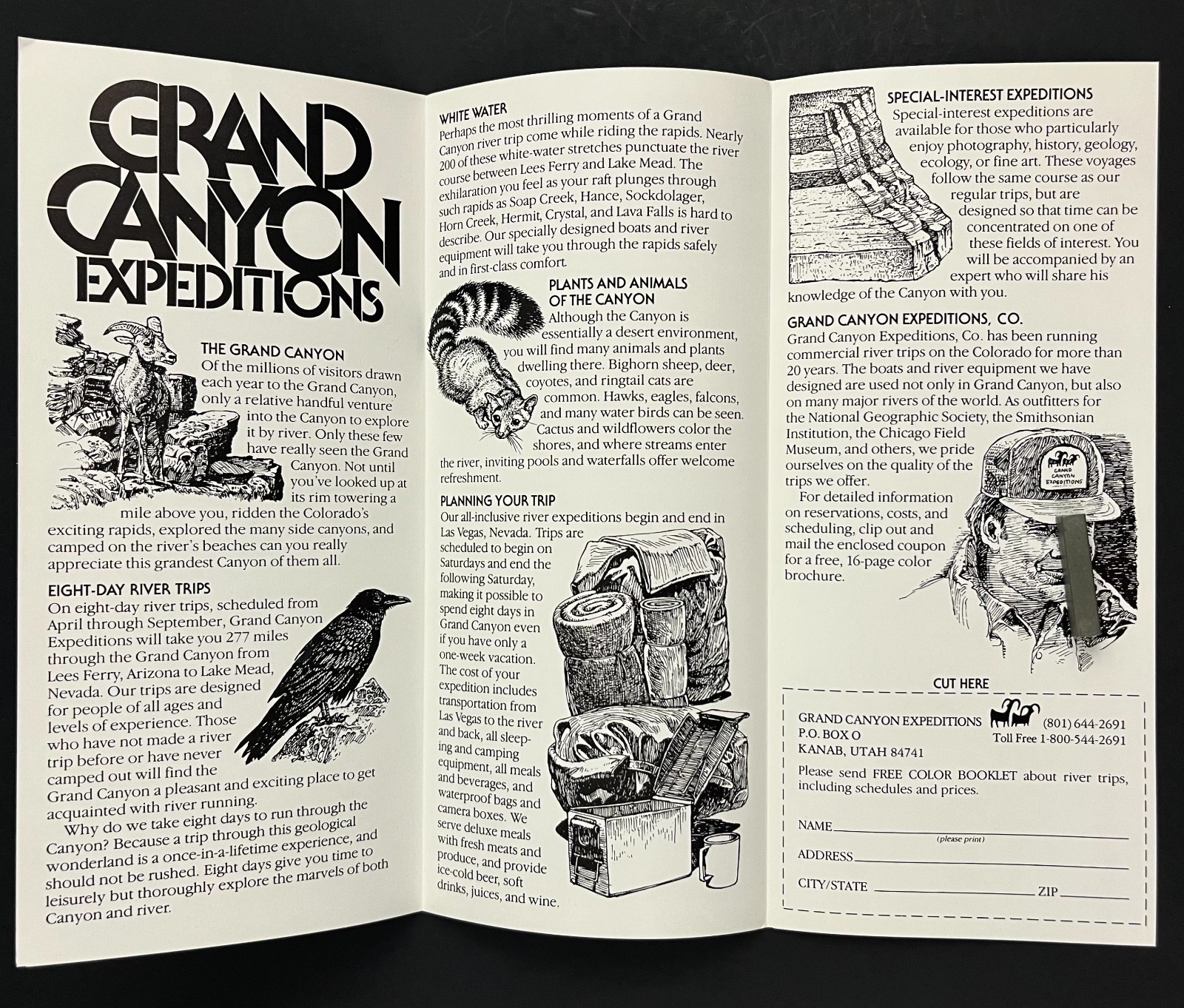 1980s Grand Canyon National Park Expeditions Raft Hiking Vintage Travel Brochure