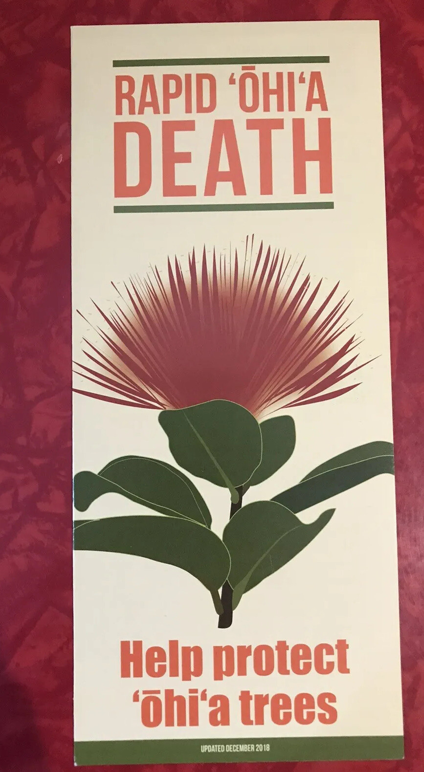 RAPID OHI’A DEATH – HELP PROTECT OHI’A TREES BROCHURE HAWAII 2018