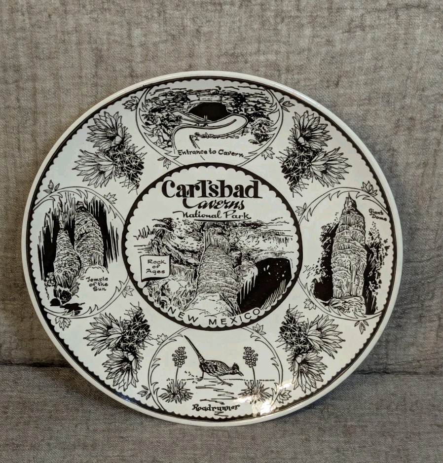 Enco Fine American Ironstone CARLSBAD CAVERNS NATIONAL PARK New Mexico 10″ PLATE