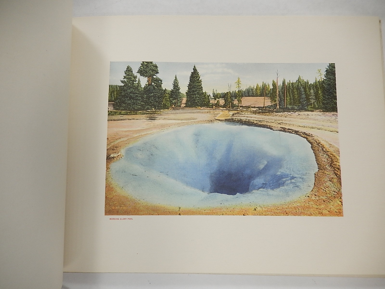 Souvenir Book: Yellowstone National Park by Haynes Inc., circa 1940, 24 13×10 P.