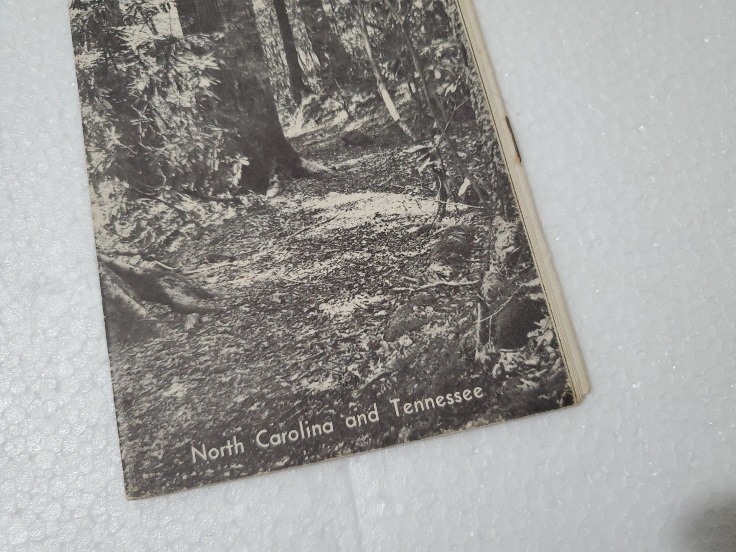 Rare Vintage Great Smoky Mountains National Park 1965 Illustrated Guide Brochure