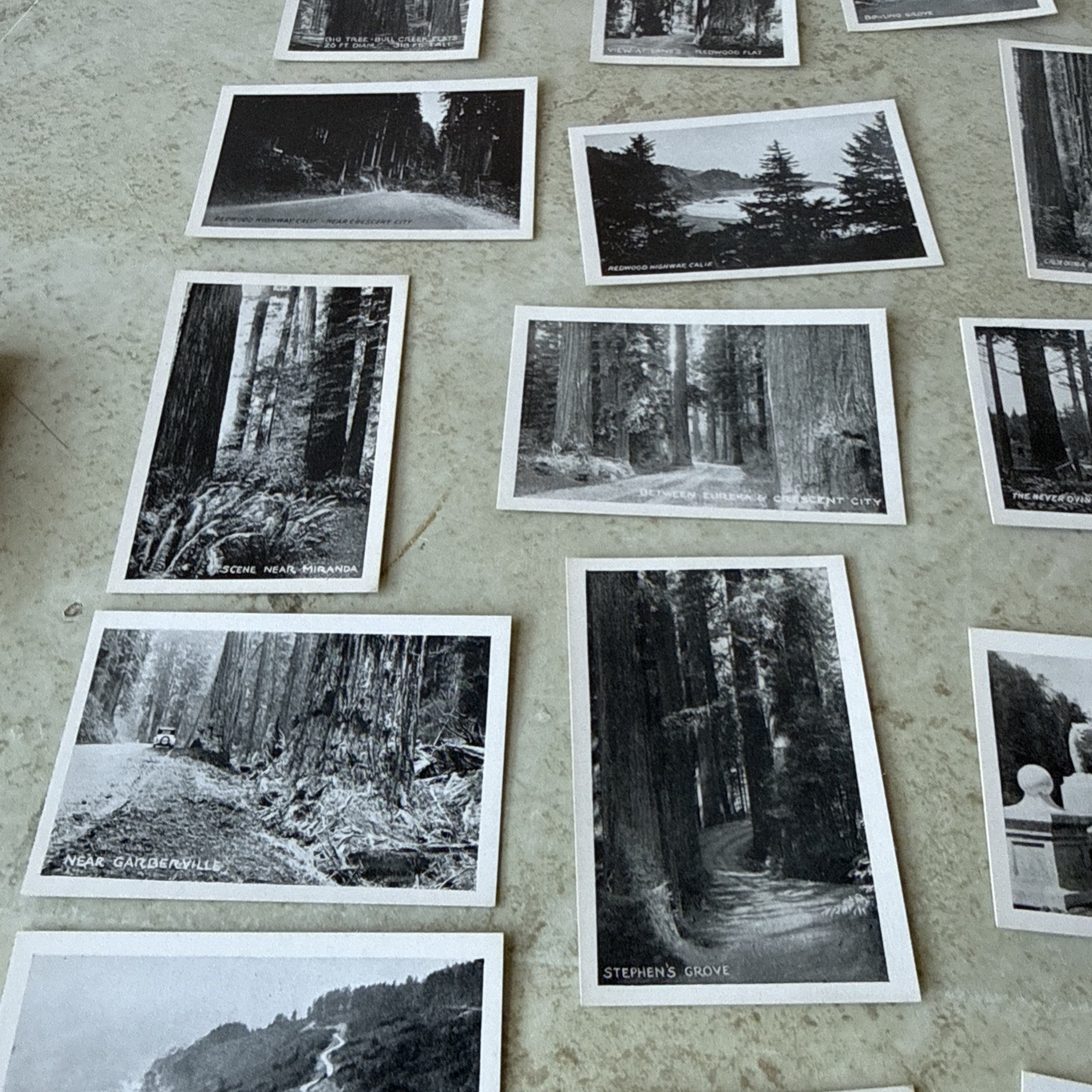 Souvenir Views Vtg picture 18 Mini Redwood Hwy CA