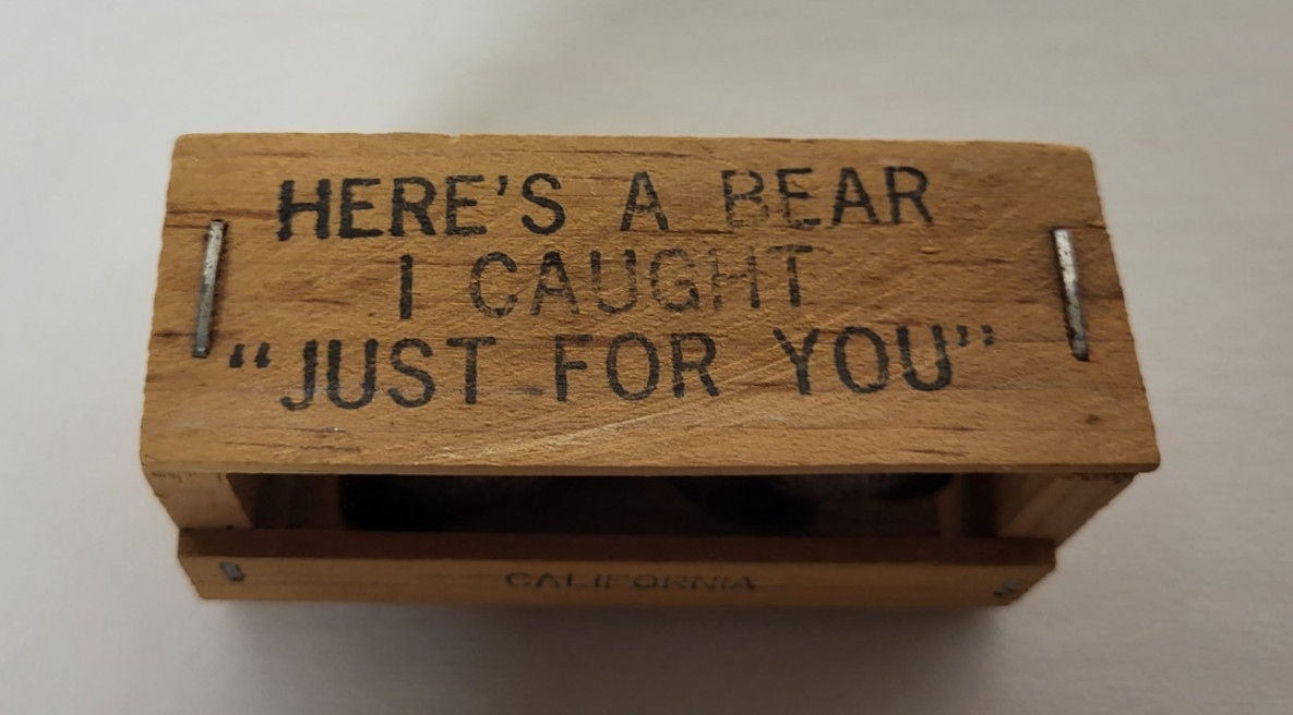 Vintage California Souvenir Here’s A Bear I Caught Just For You Felt Bear Mailer