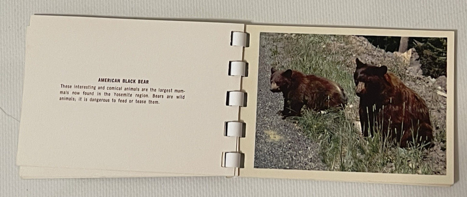 YOSEMITE NATIONAL PARK 10 Color Album Prints Small – 1953 VINTAGE – RARE