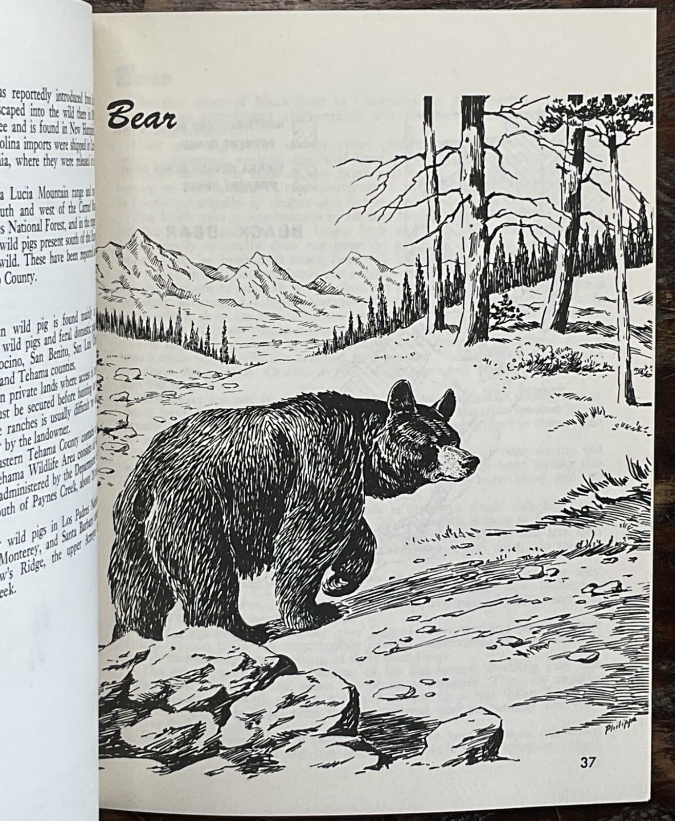 1970s Big Game-Waterfowl-Furbearers Pamphlets-California Dept of Fish & Game-4