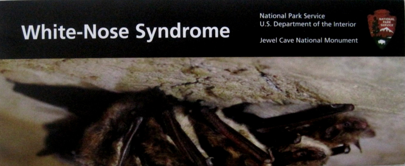 Jewel Cave National Monument-White-Nose Syndrome Park Service Unigrid Brochure
