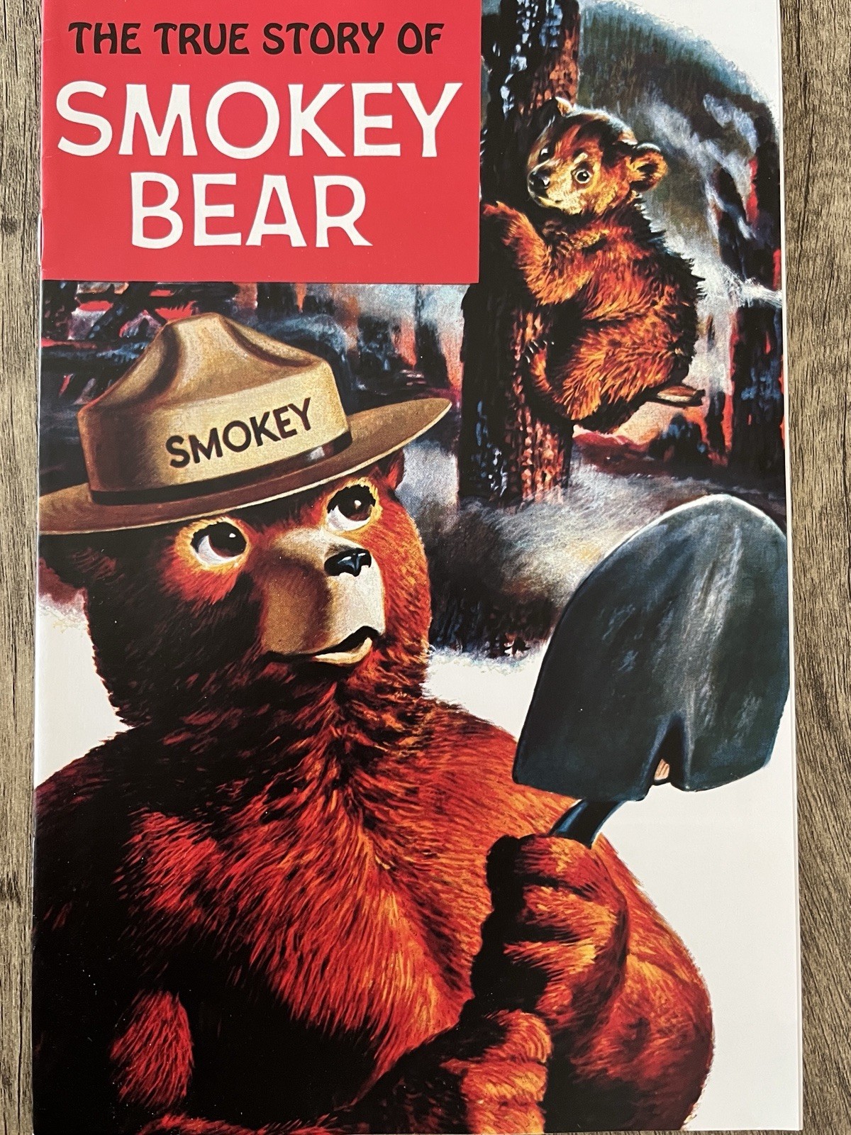National Parks, USFWS, US Forest Service Brochures, Guide Books, Jr Rangers, CD!