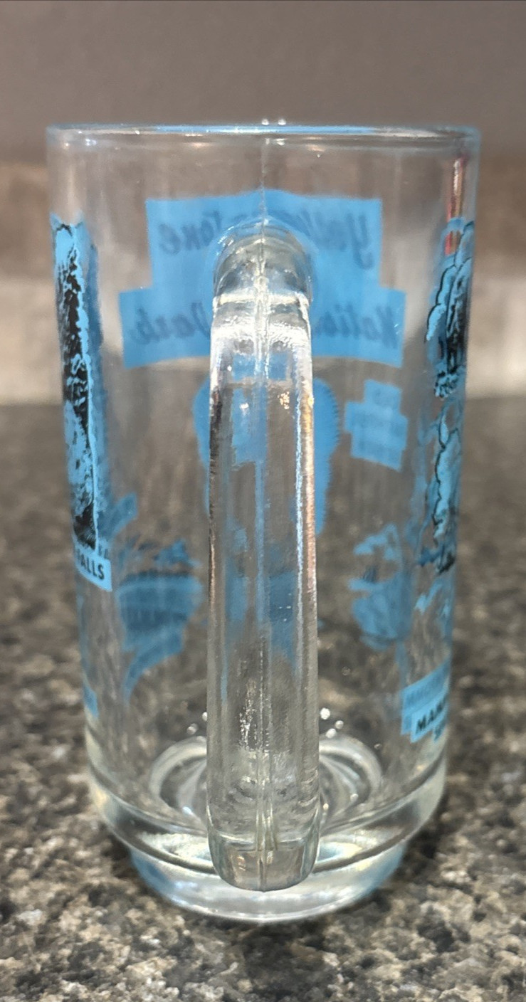 Vintage Blue and Black Yellowstone National Park Old Faithful Glass Mug souvenir