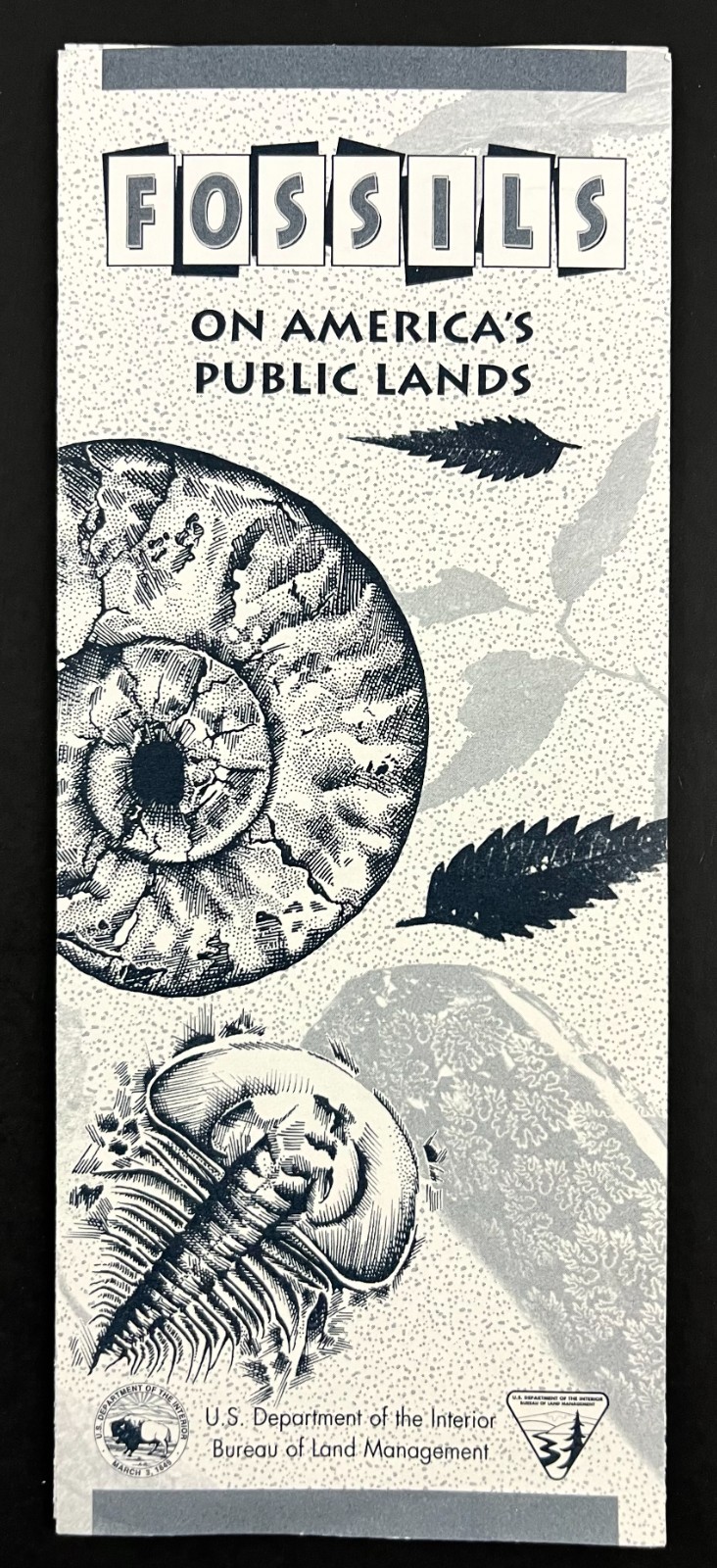1990s Fossils On America’s Public Lands National Parks Vintage Travel Brochure