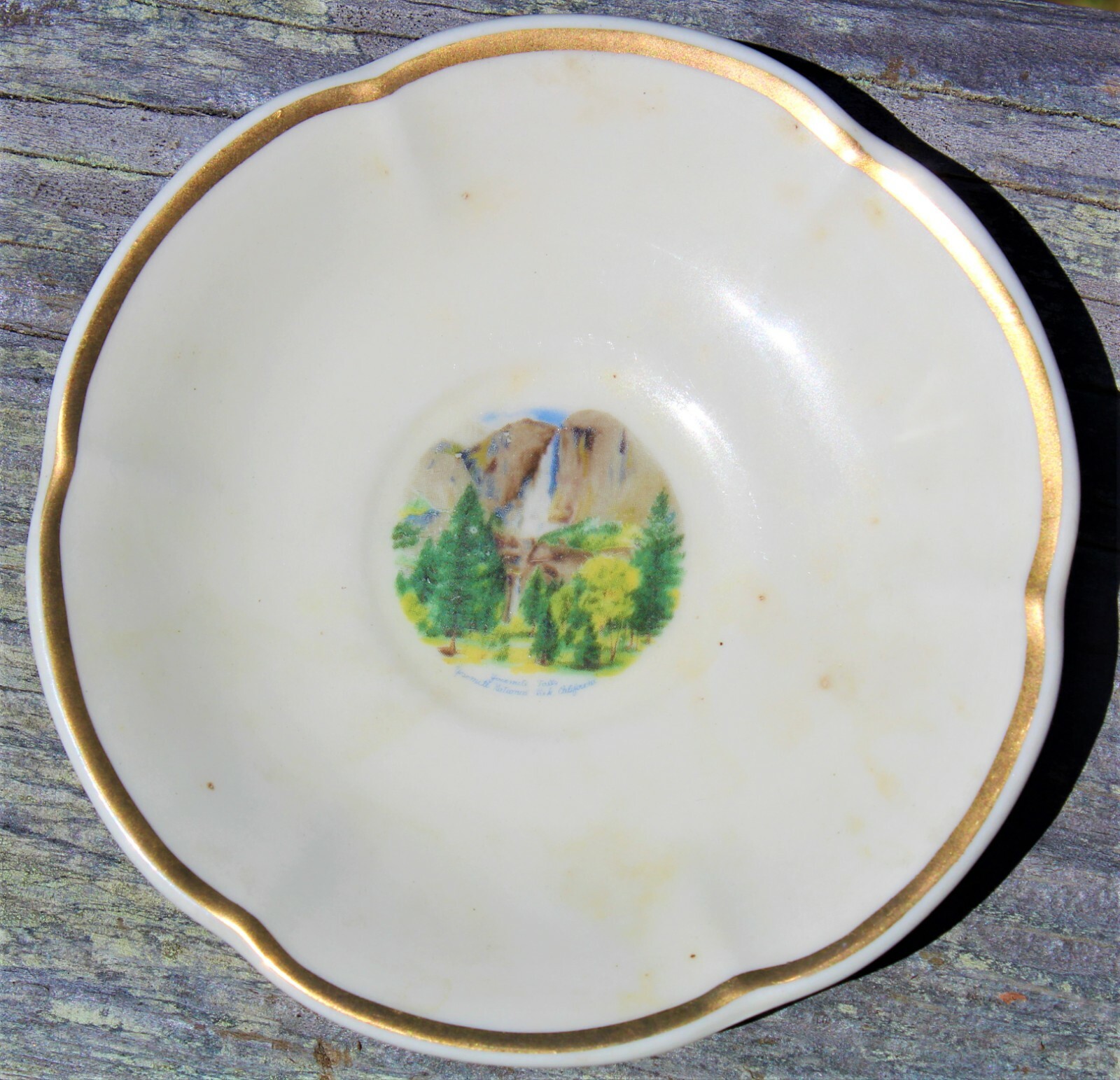 Yosemite Vinatge Souvenir Mini Cup and Saucer- Half Dome 1960’s