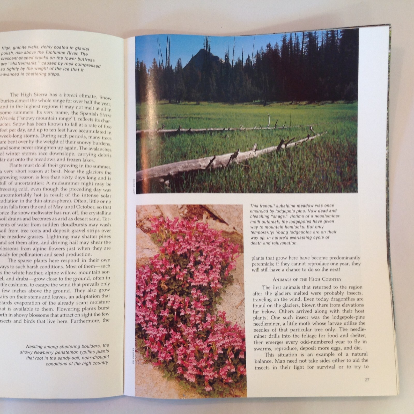Vintage 1984 Souvenir Color Booklet Yosemite: The Story Behind the Scenery