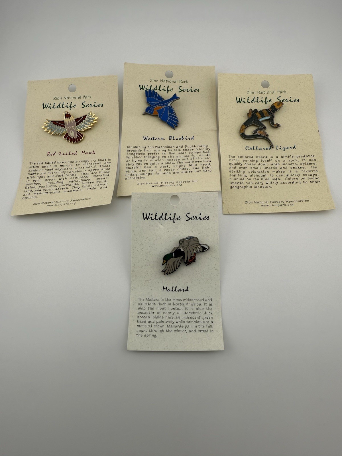 4 Zion National Park Mallard, Bluebird, Collard Lizard, Red-tailed Hawk Pins.
