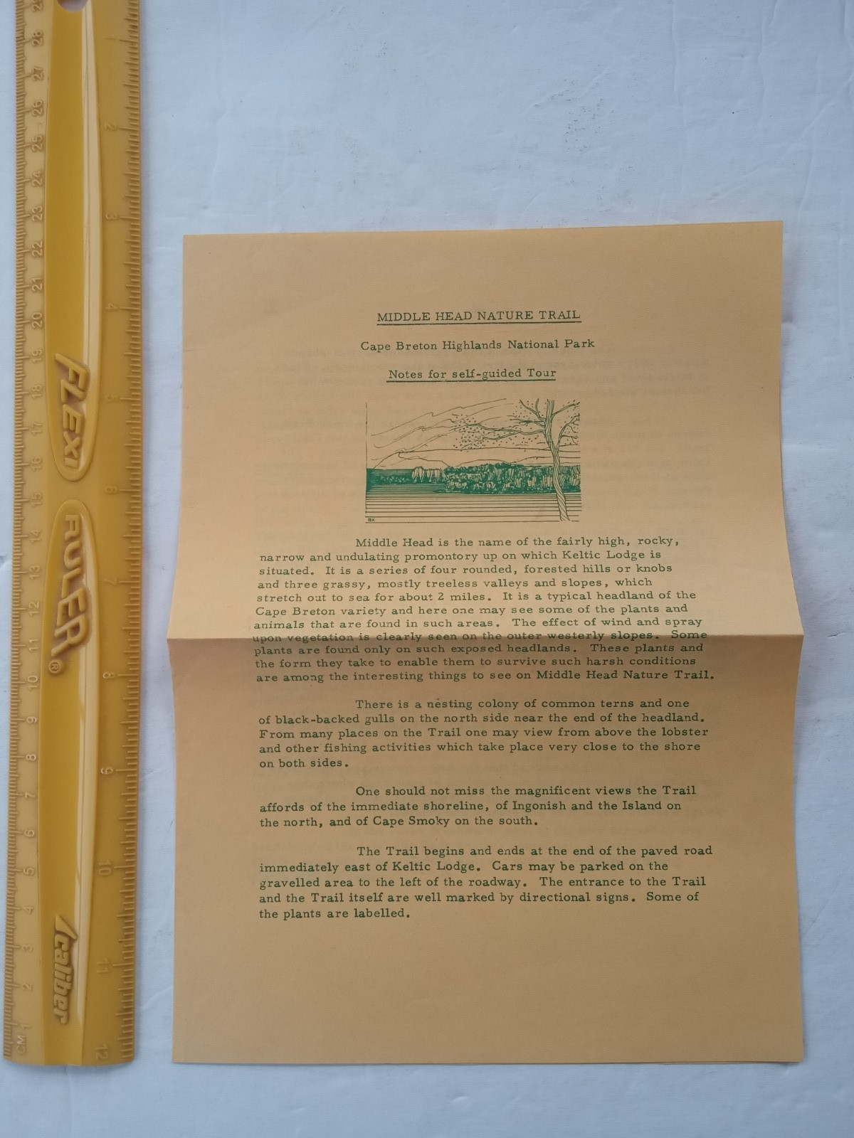 Cape Breton Highlands National Park 1968 MIDDLE HEAD NATURE TRAIL Pamphlet