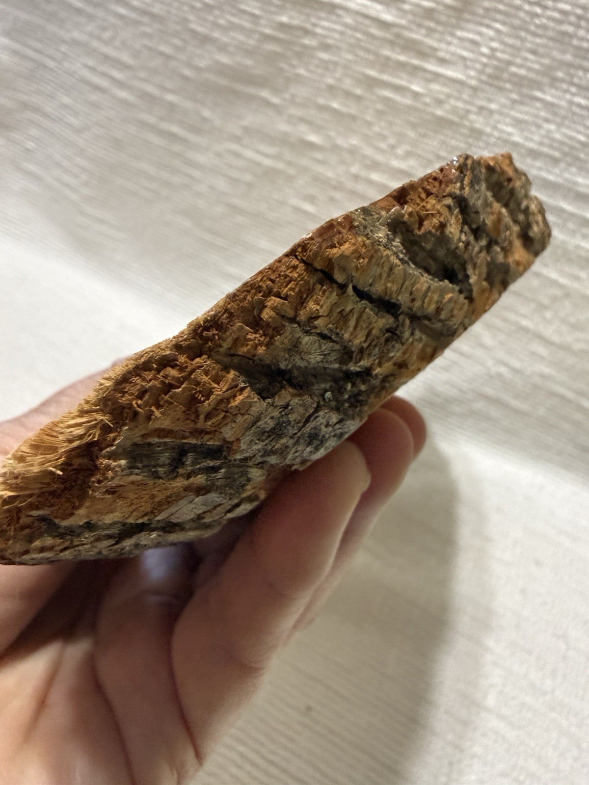 Vtg. “GREAT SMOKY MOUNTAINS” 11.75” Collector Wood Slice Wall Thermometer