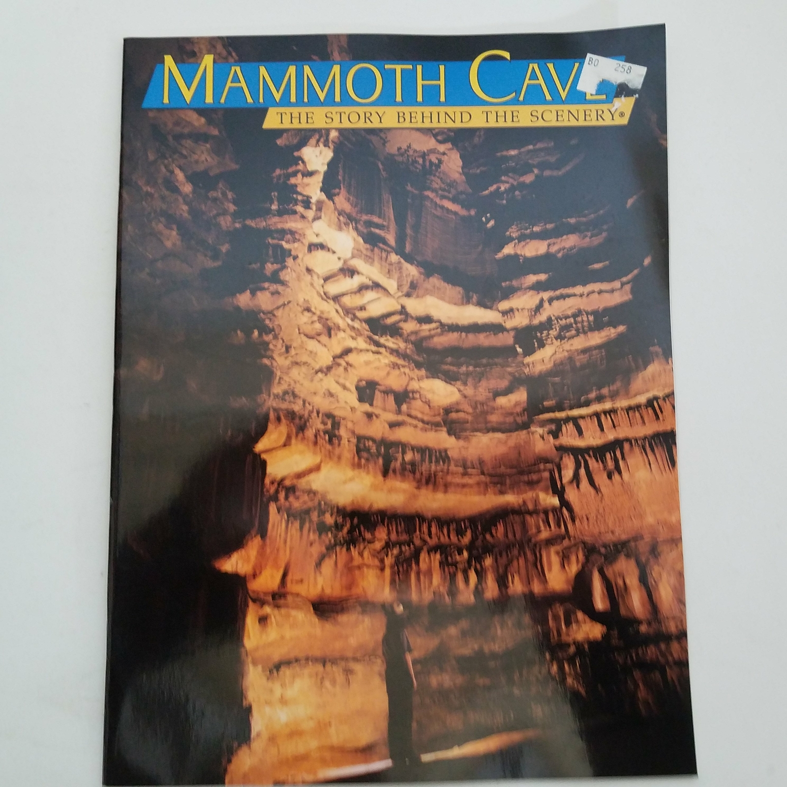 Mammoth Cave – The Story Behind The Scenery by Joy Medley Lyons 1993 0887140505