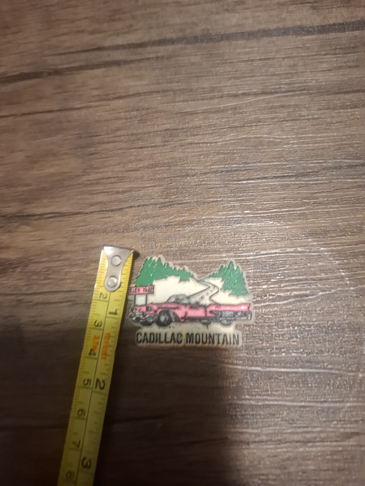 Arcadia National Park Maine Vintage Magnets Cadillac Mountain