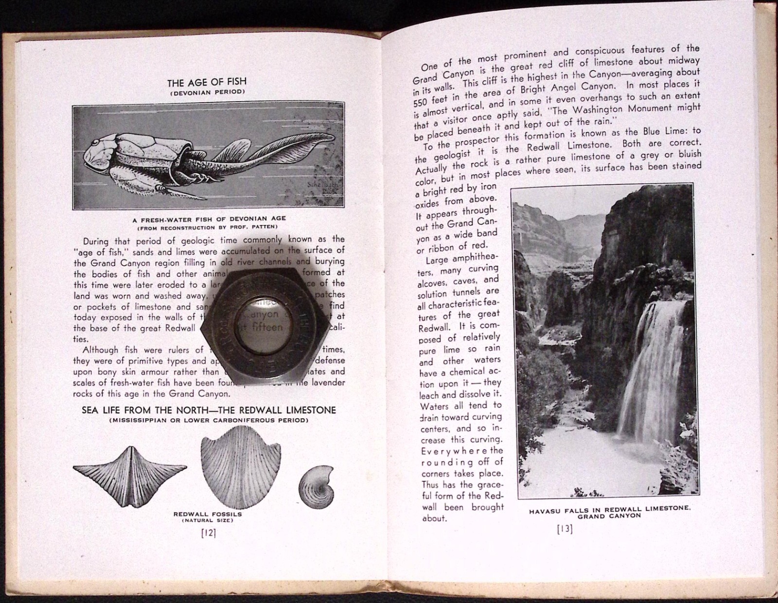 1931 Ancient Landscapes of the Grand Canyon Region Edwin D McKee Illustrated