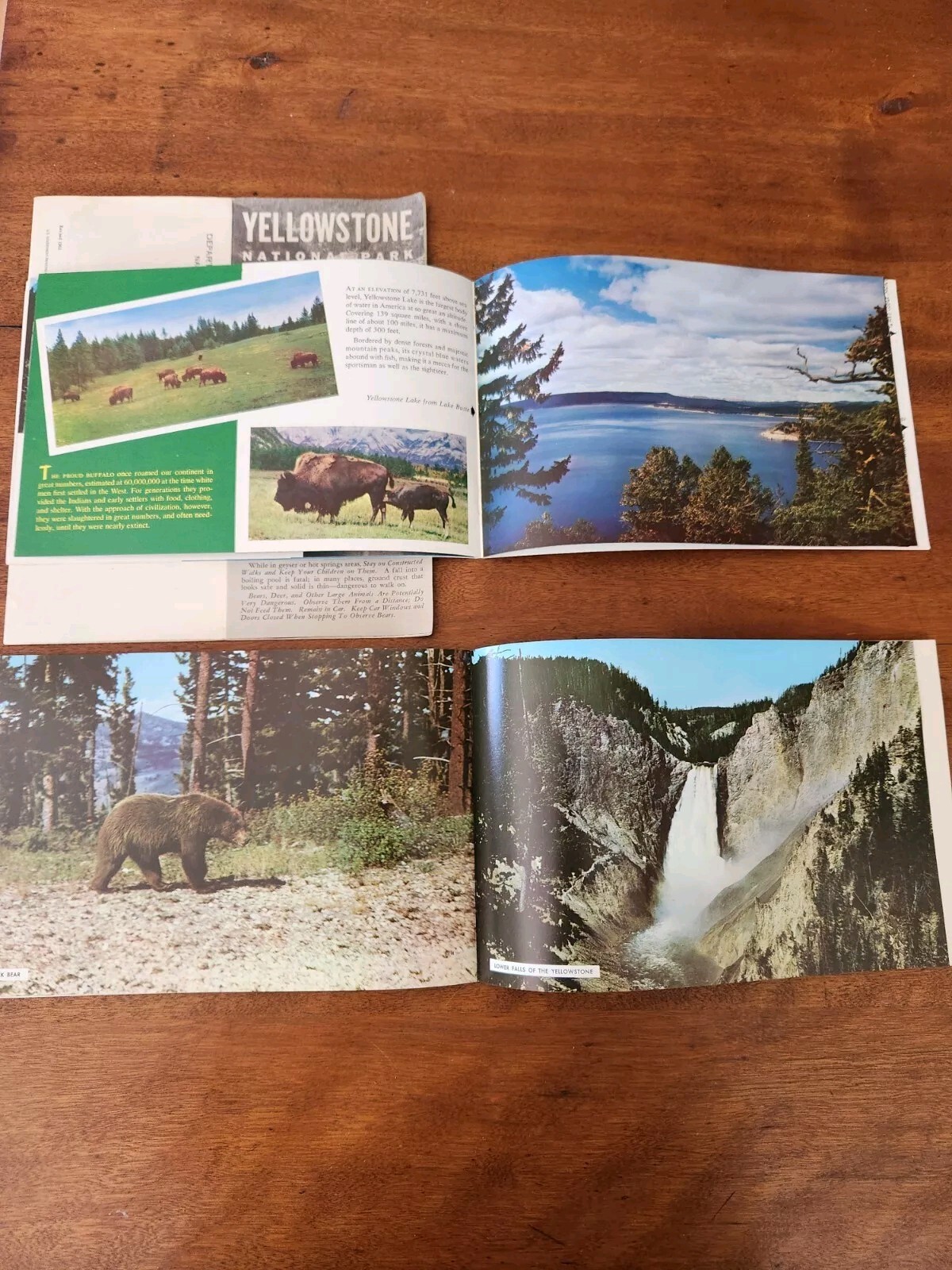 1960s Yellowstone Park Souvenir Albums, brochures, slides lot