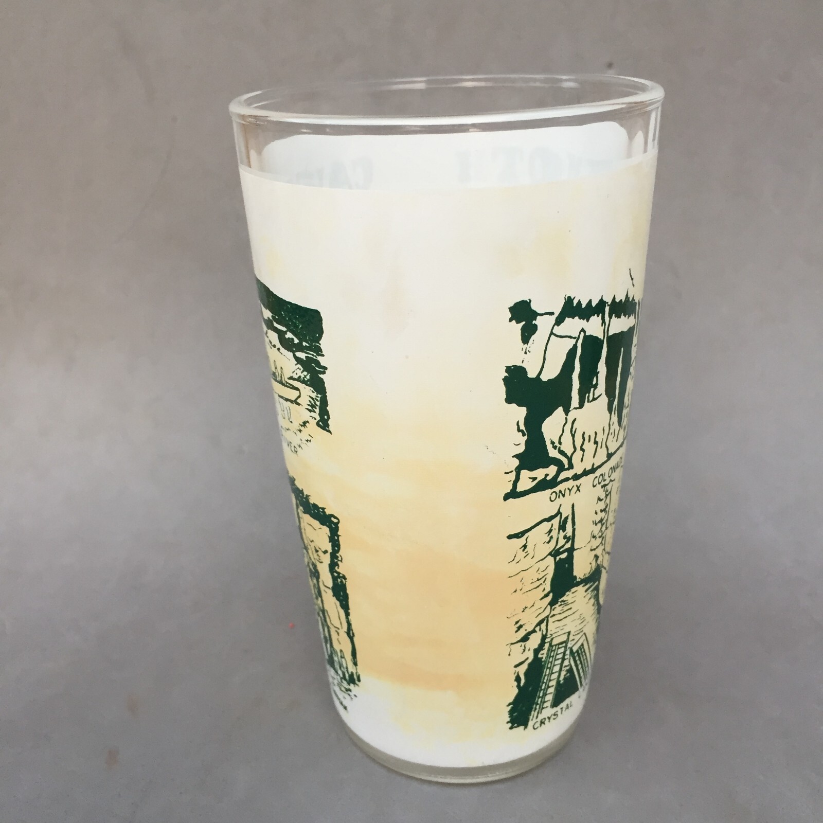 Mammoth Cave National Park Kentucky Souvenir Drink Glass Tumbler Vintage Frosted