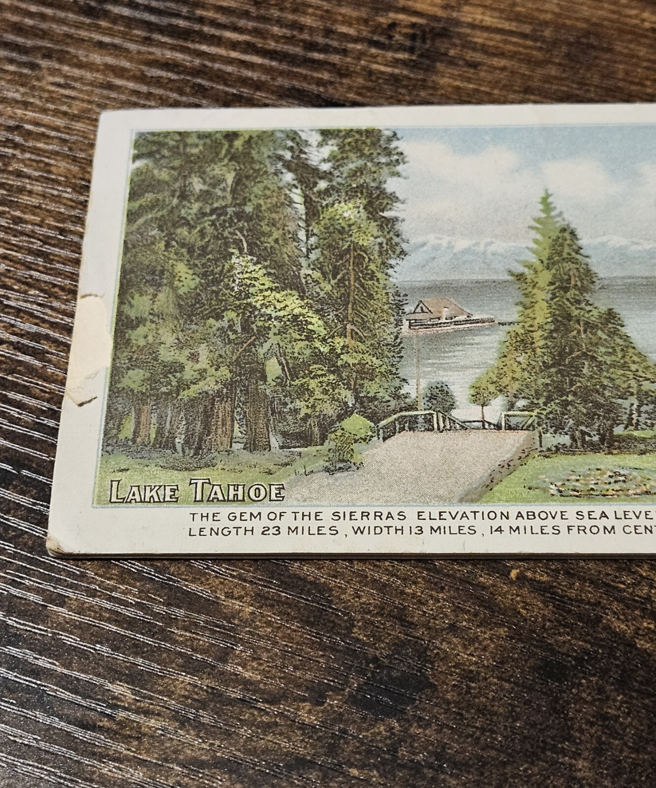 c1900 California Fig Syrup Travel Brochure Yosemite Lake Tahoe Shasta Santa…