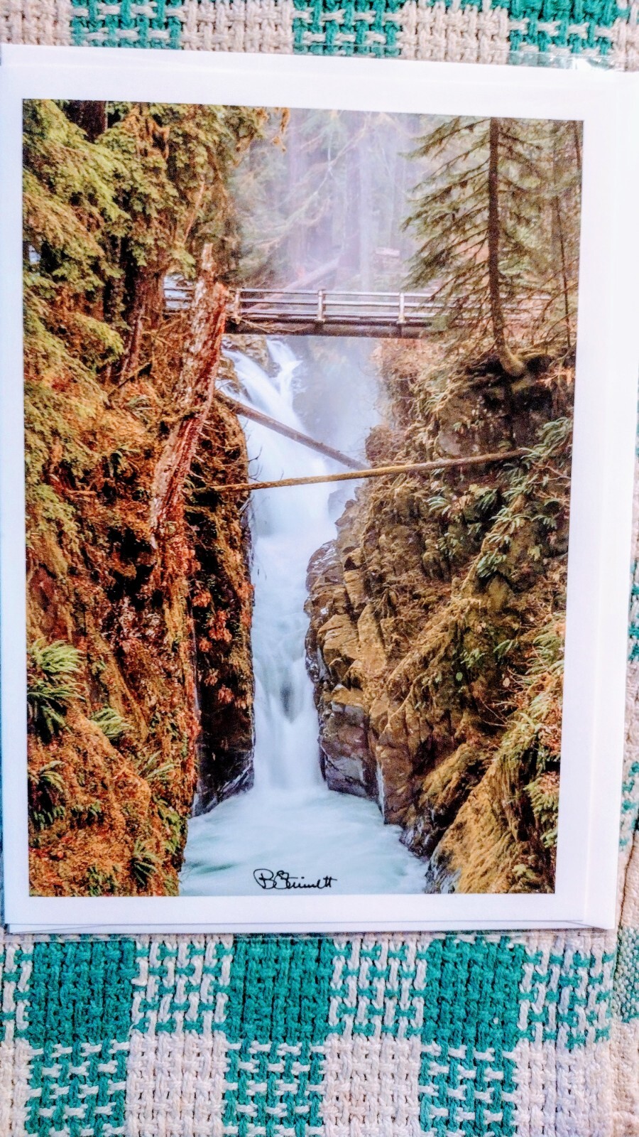 8 X 10 GREETING CARD “SOL DUC FALLS” OLYMPIC NATIONAL PARK WASHINGTON PACIFIC