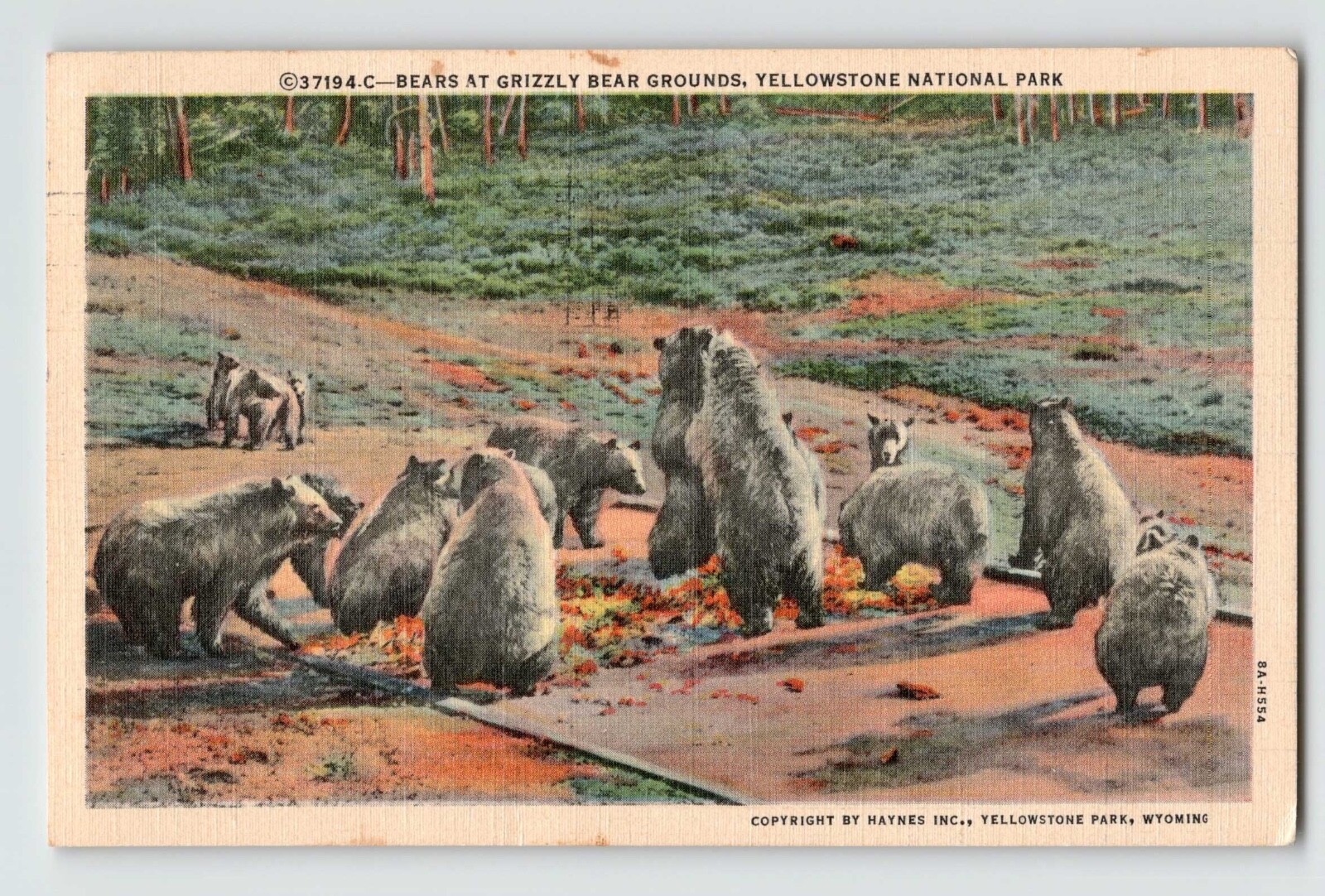 1940 Yellowstone Park linen post cards