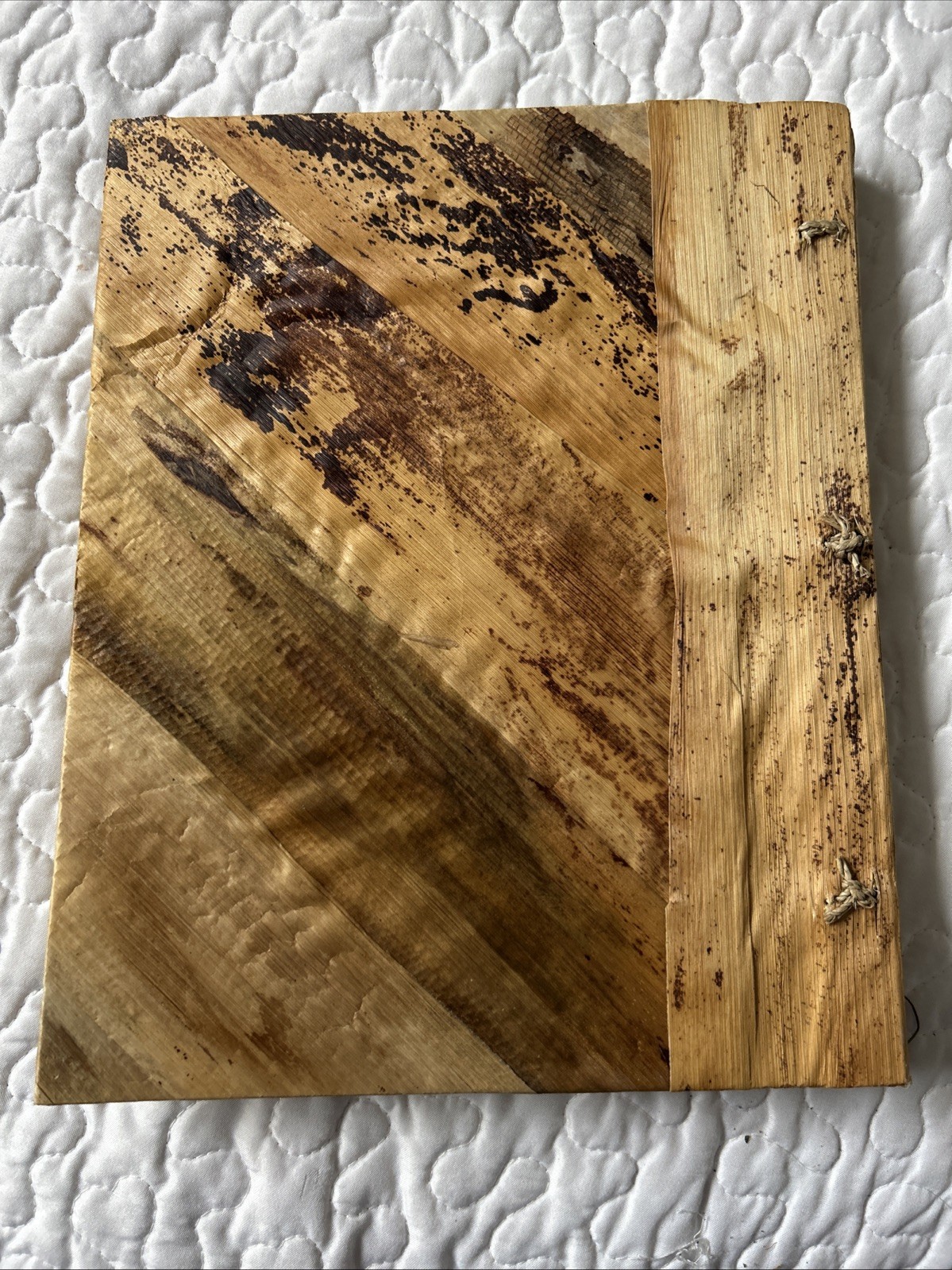 Yellowstone Souvenir Photo Album Rustic Wood Bark Bear 10 Pages 40 Pics NEW