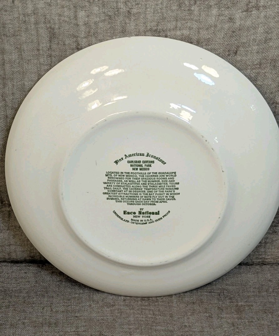 Enco Fine American Ironstone CARLSBAD CAVERNS NATIONAL PARK New Mexico 10″ PLATE