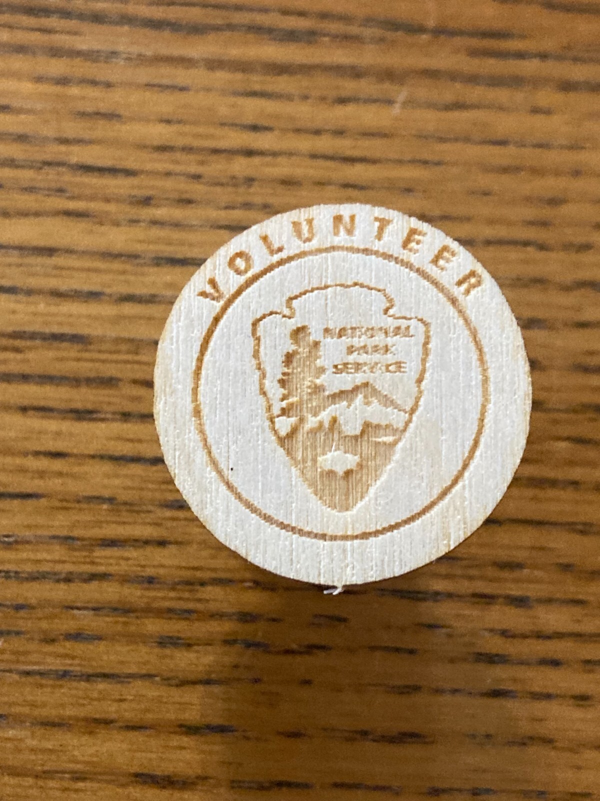 Special Limited Issue NATIONAL PARK VOLUNTEER Wood Pin-back NPS Arrowhead Bison