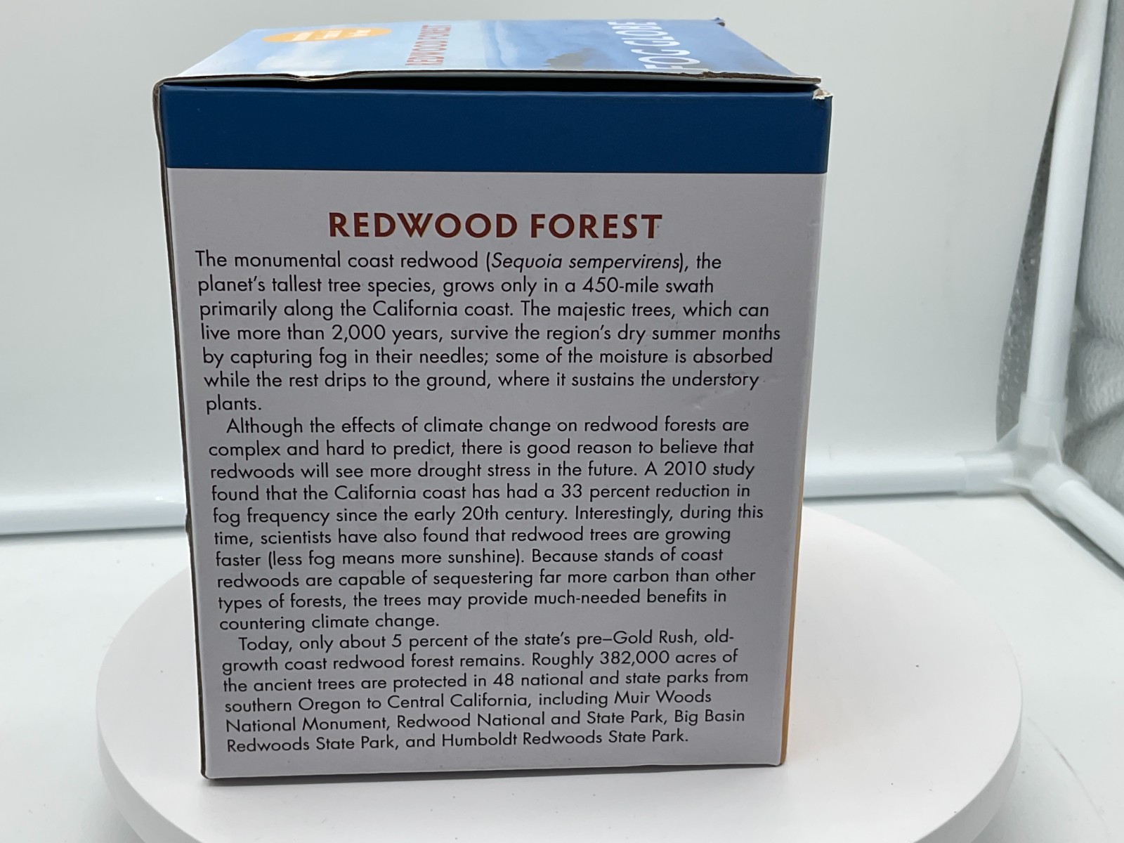 Redwood Forest California Fog Globe National Parks Conservancy Award Winner NIB