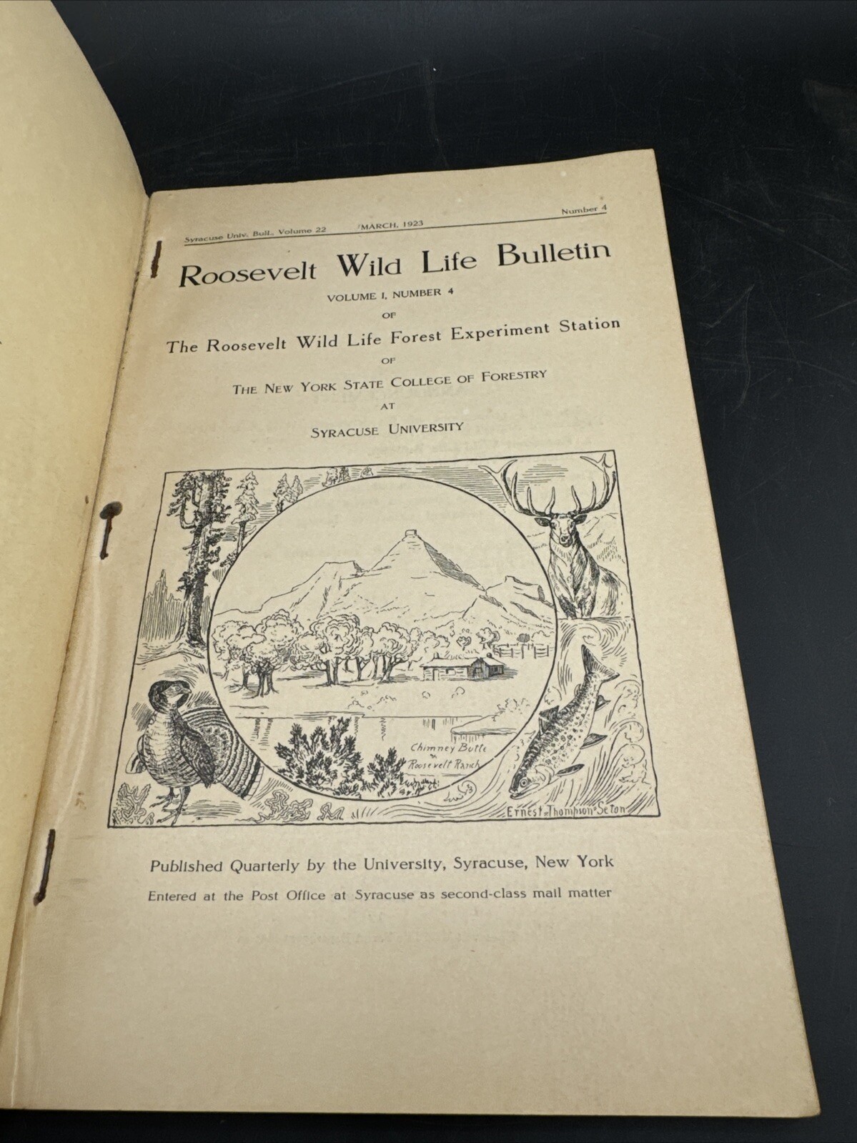 Roosevelt Wild Life Bulletin Birds💥March 1923 Vol 1,Number 4