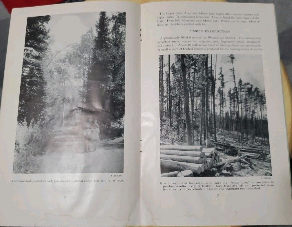 Vtg Wasatch National Forest Utah Brochure 1952 USDA Service Travel Souvenir