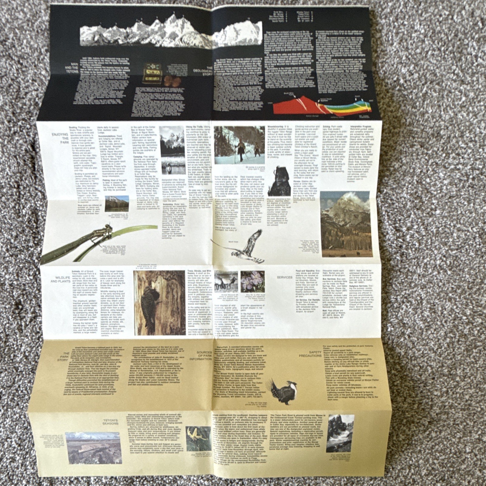 13 Yellowstone & Grand Teton National Park Fold-Out Maps/Brochures 1972-77.