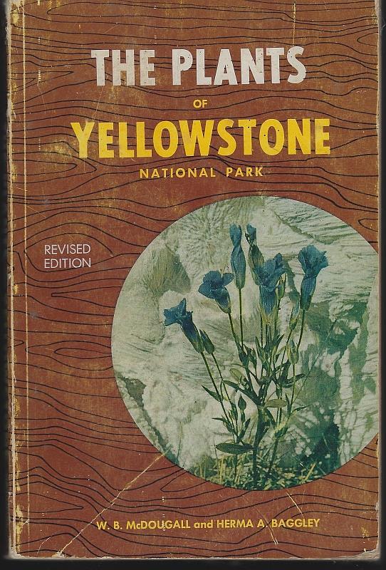 Plants of Yellowstone National Park 1956 Natural History Guidebook Illustrated