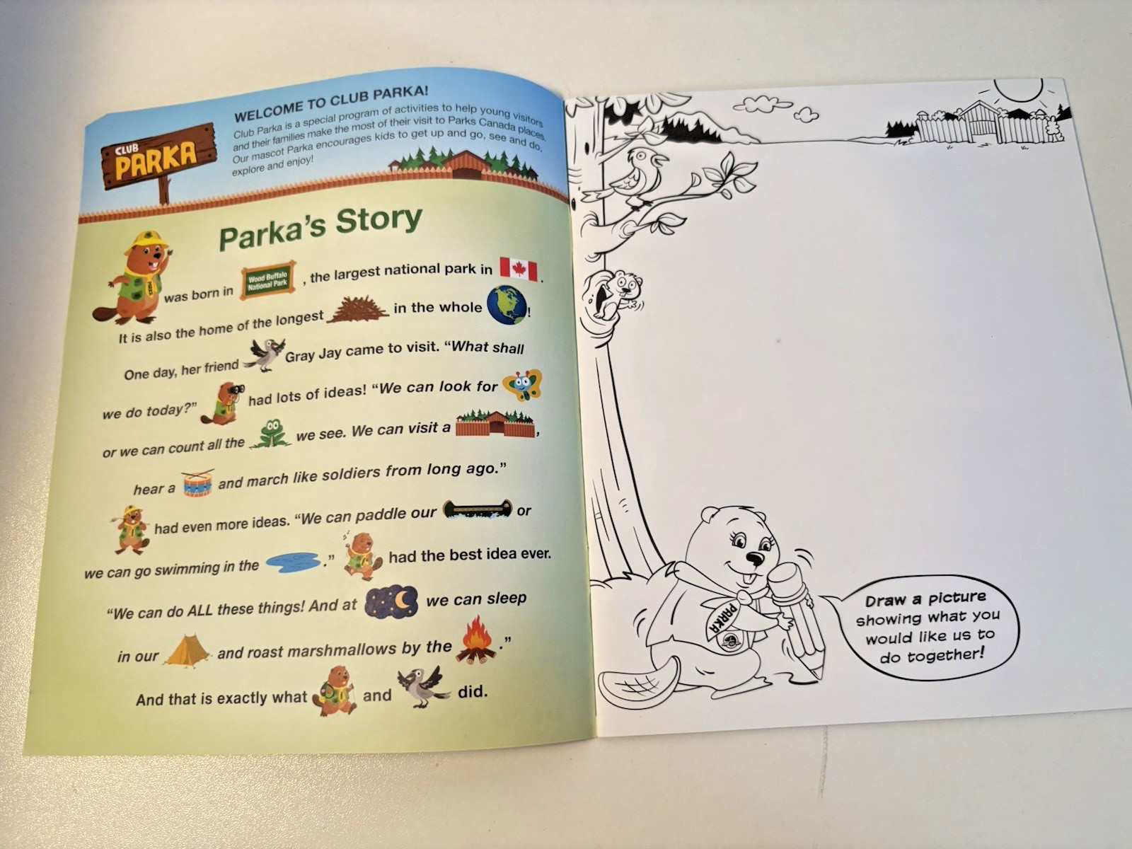 Club Parka Activity Book Kids Parks Canada Government Canada