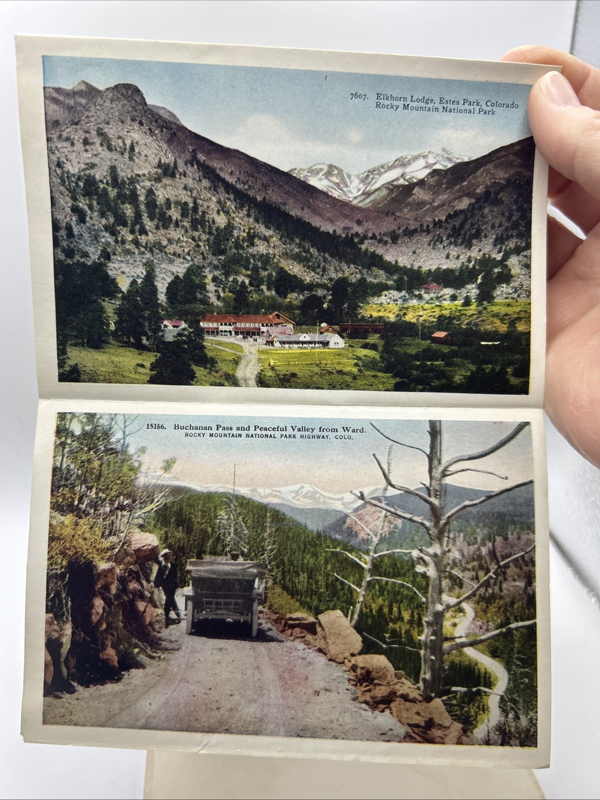1920s Estes Park Souvenir Folder Picture Cards National Park Colorado Rocky Mts