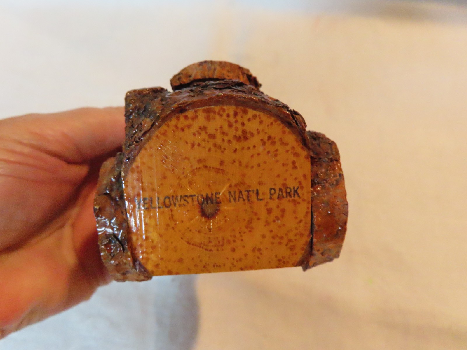 Vintage Yellowstone National Park Teddy Bear in wooden car souvenir