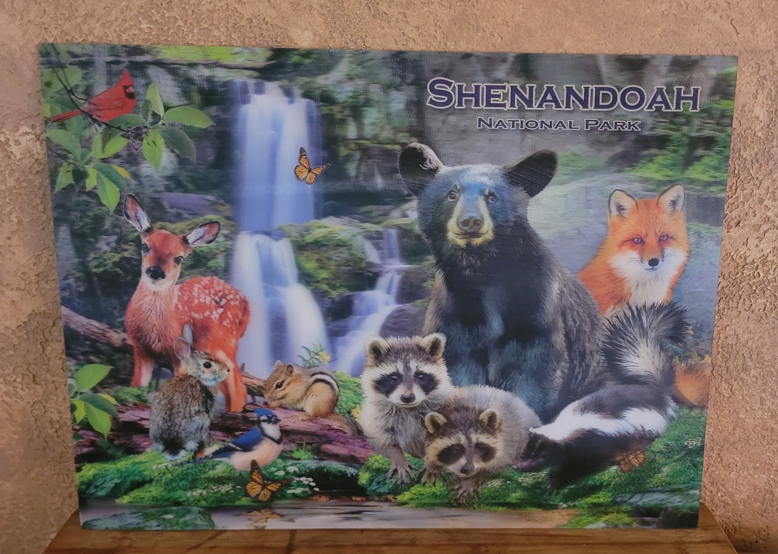 Shenandoah National Park Wildlife 3D Placemats Set of 2 Cabin Lodge Decor