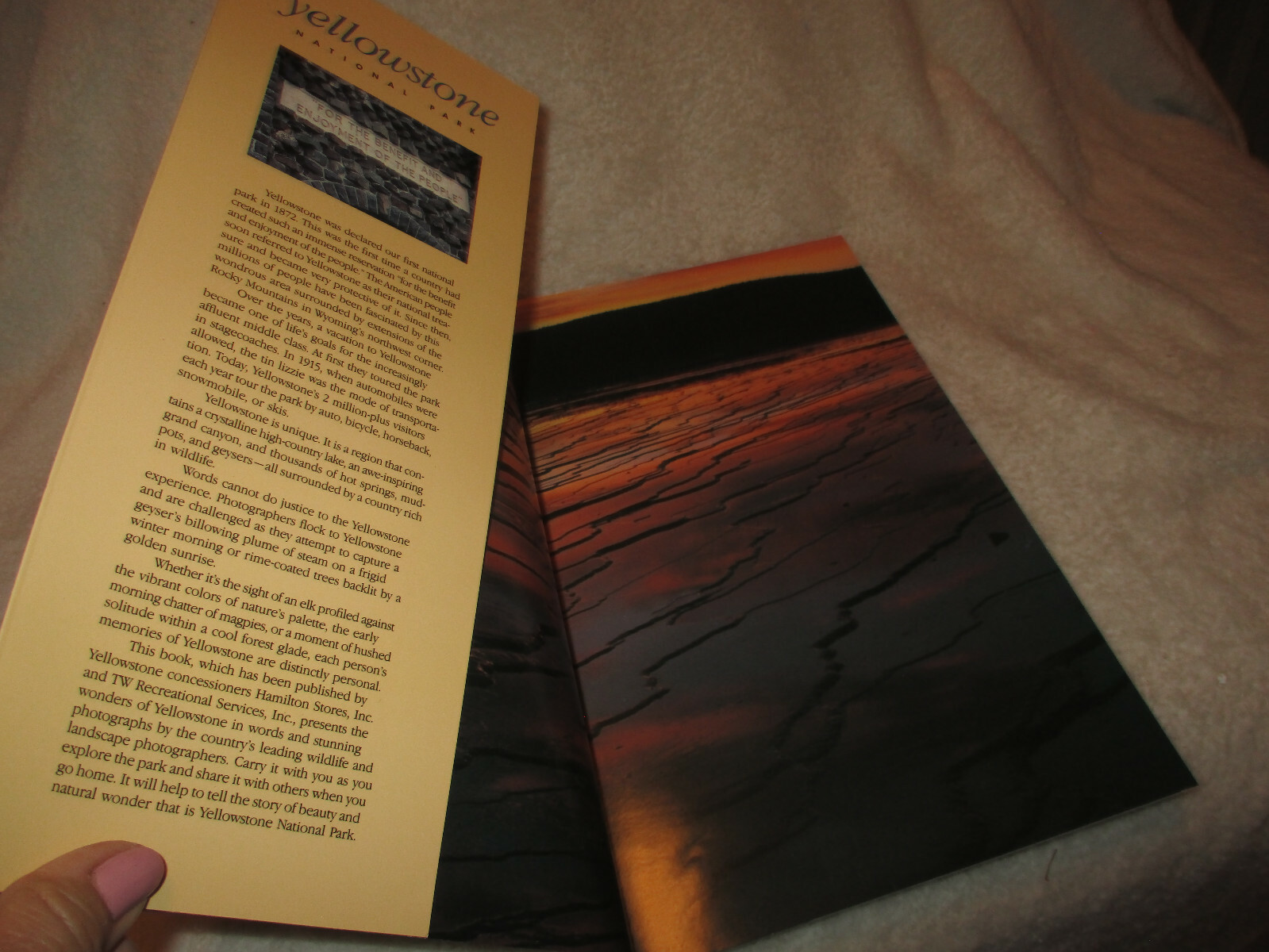 Yellowstone National Park~1989~1st Printing~Soft Cover