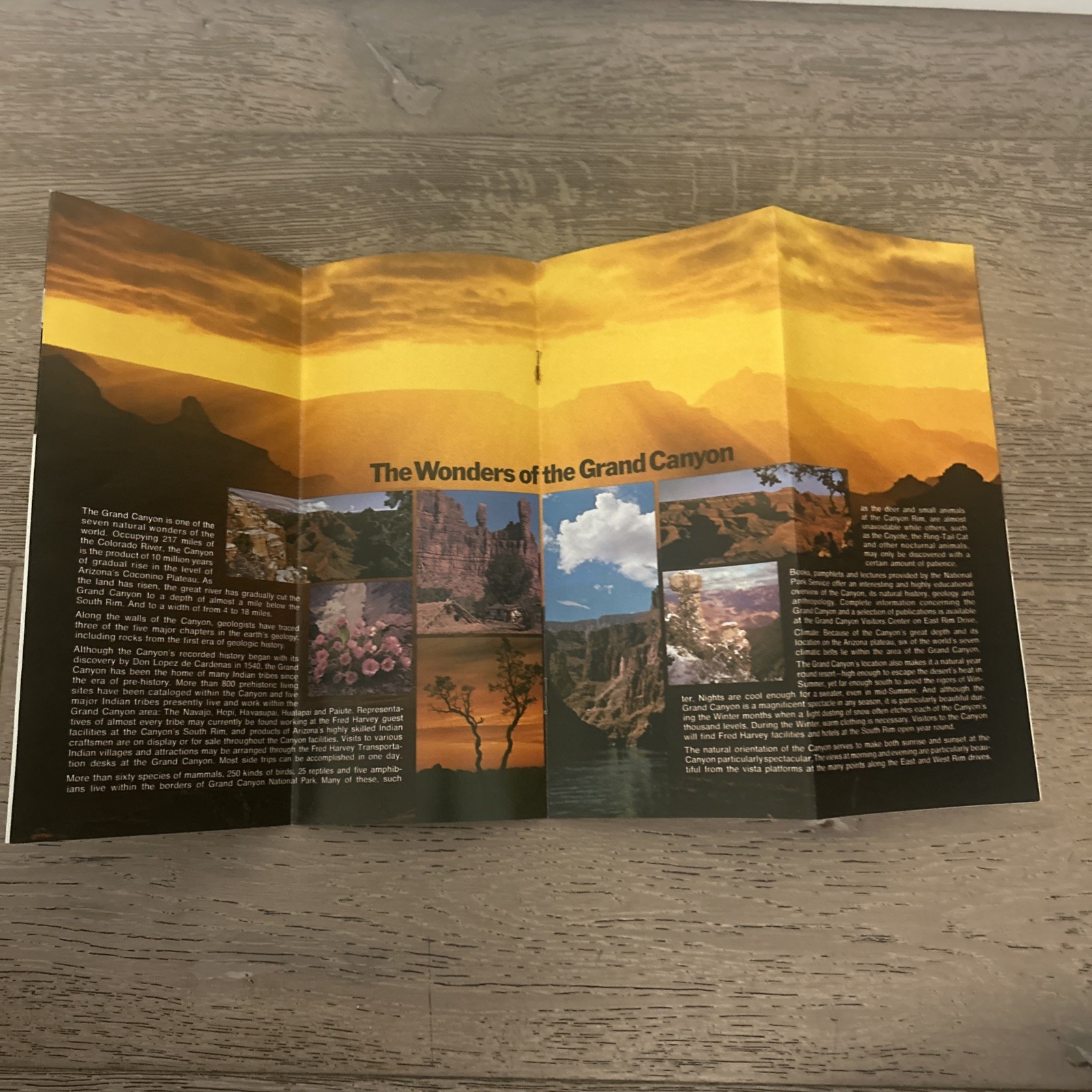 Grand Canyon NATIONAL PARK, Travel Brochure 1970s Amfac Pamphlet