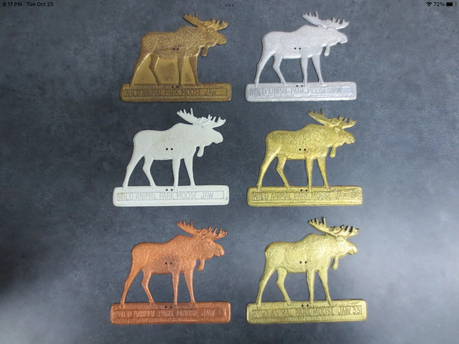 Scarce 1932 Wild Animal Park Moose Jaw Parks Pass